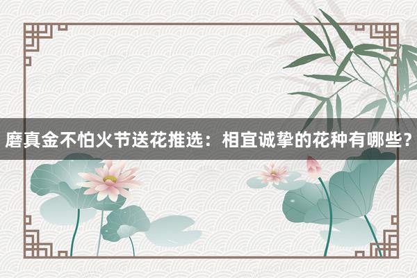 磨真金不怕火节送花推选：相宜诚挚的花种有哪些？