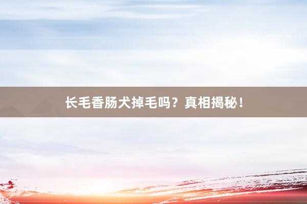 长毛香肠犬掉毛吗？真相揭秘！