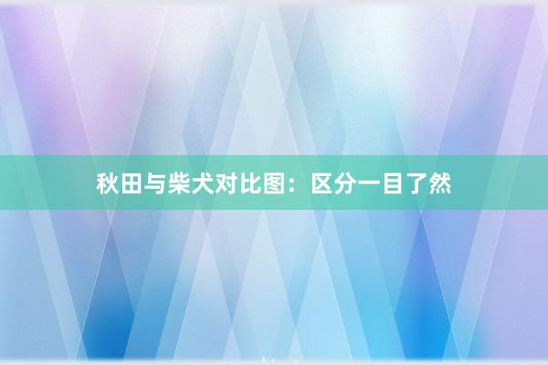 秋田与柴犬对比图：区分一目了然